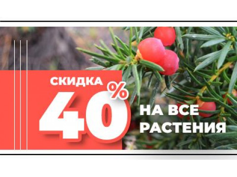Скидка 40% на все растения до конца года