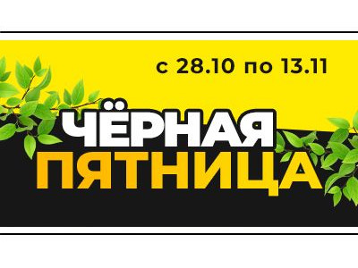 Актуальные цвета 2023 года в ландшафтном дизайне сада
