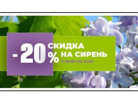 Весенняя акция: вся сирень со скидкой 20%