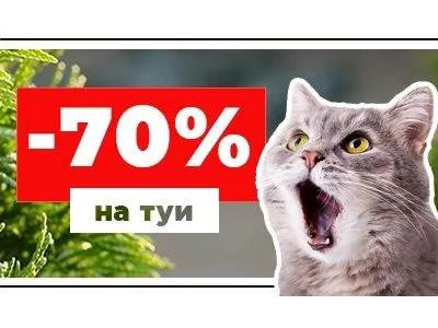 Скидки на туи "Smaragd" и "Brabant" до конца марта